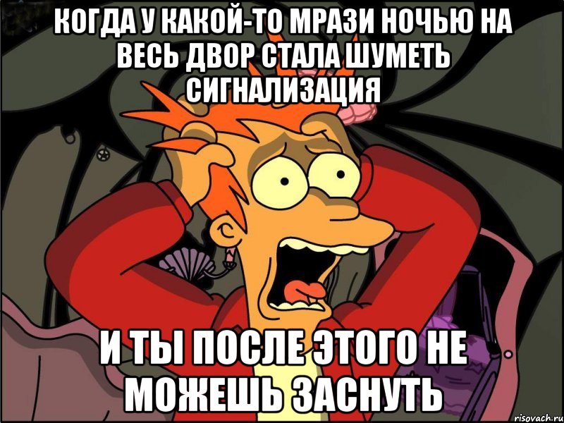 Когда у какой-то мрази ночью на весь двор стала шуметь сигнализация И ты после этого не можешь заснуть, Мем Фрай в панике