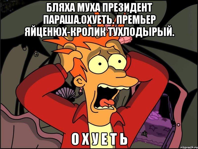 Бляха муха президент параша.охуеть. премьер яйценюх-кролик тухлодырый. О х у е т ь, Мем Фрай в панике