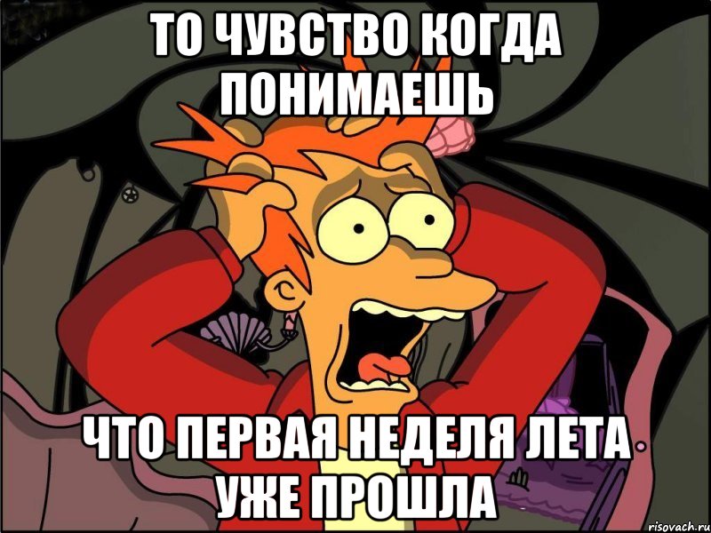 то чувство когда понимаешь что первая неделя лета уже прошла, Мем Фрай в панике