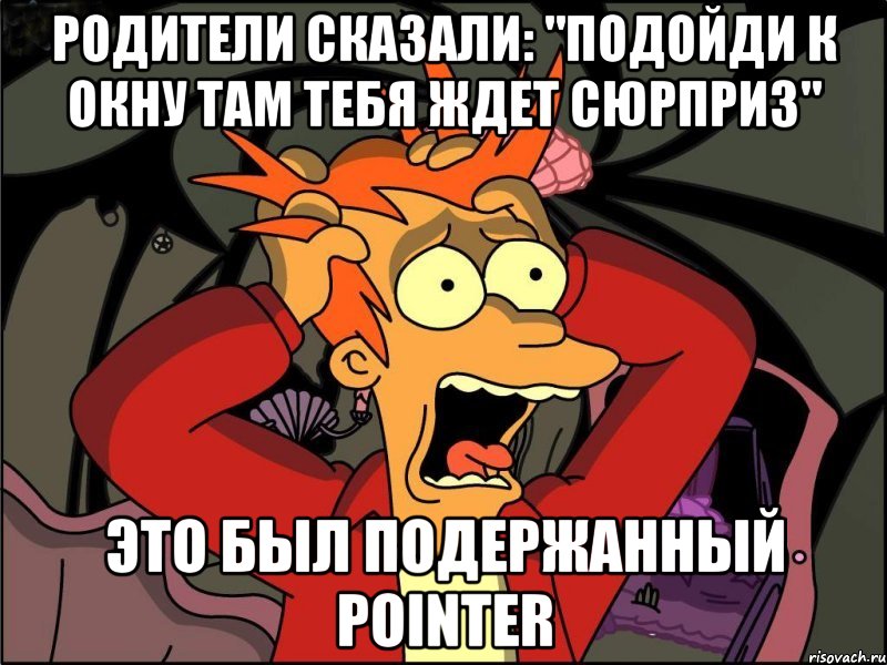 Родители сказали: "Подойди к окну там тебя ждет сюрприз" Это был подержанный POINTER, Мем Фрай в панике