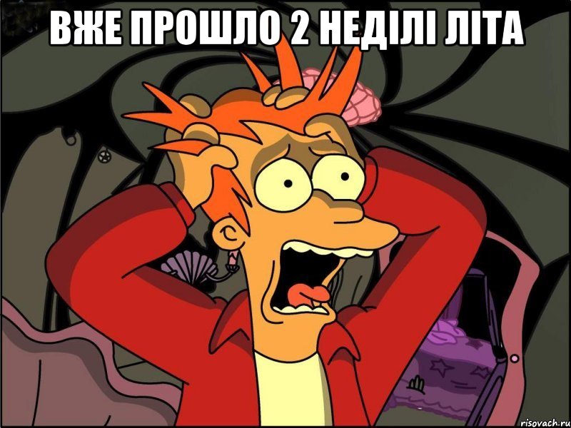 вже прошло 2 неділі літа , Мем Фрай в панике