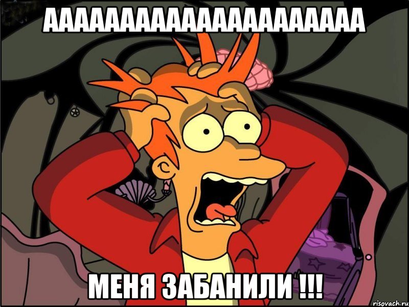 AAAAAAAAAAAAAAAAAAAAA МЕНЯ ЗАБАНИЛИ !!!, Мем Фрай в панике