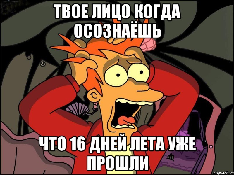 твое лицо когда осознаёшь что 16 дней лета уже прошли, Мем Фрай в панике