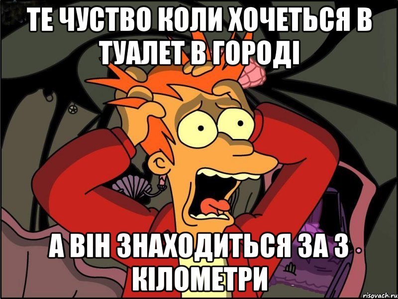 Те чуство коли хочеться в туалет в городі а він знаходиться за 3 кілометри, Мем Фрай в панике