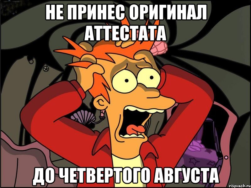 Не принес оригинал аттестата до четвертого августа, Мем Фрай в панике