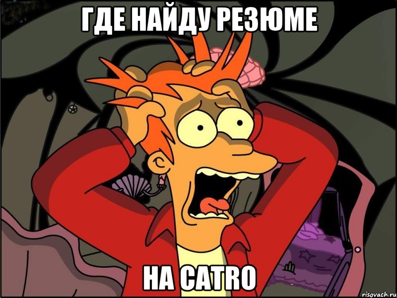 Где найду резюме На CATRO, Мем Фрай в панике