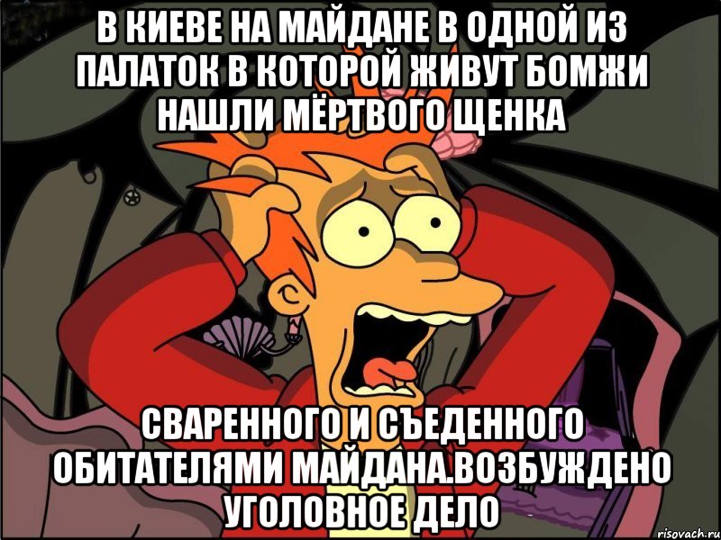 В киеве на майдане в одной из палаток в которой живут бомжи нашли мёртвого щенка Сваренного и съеденного обитателями майдана.возбуждено уголовное дело, Мем Фрай в панике