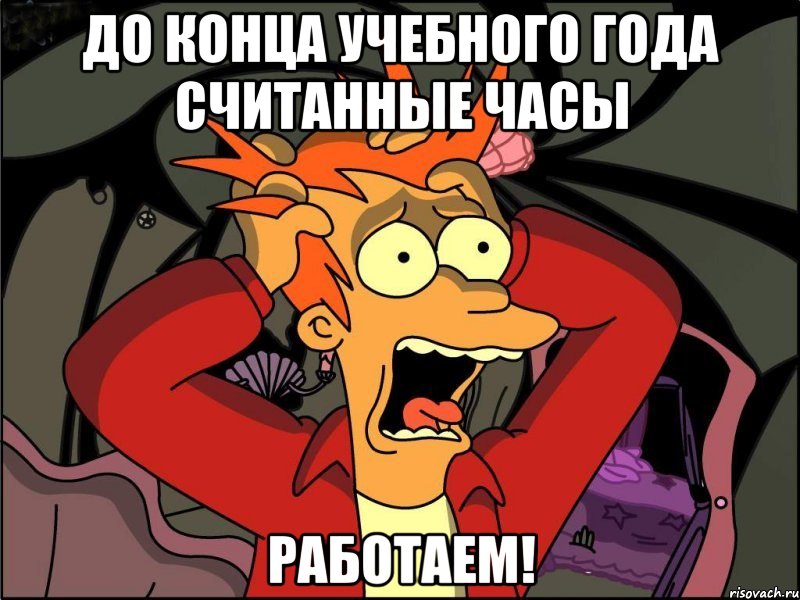 До конца учебного года считанные часы РАБОТАЕМ!, Мем Фрай в панике