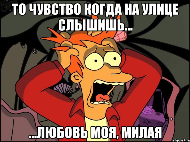 То чувство когда на улице слышишь... ...Любовь моя, милая, Мем Фрай в панике