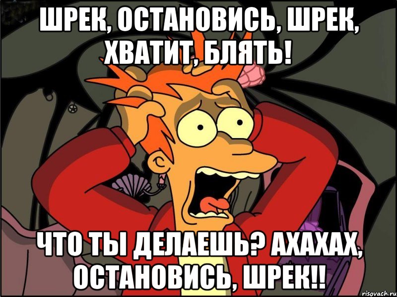 Шрек, остановись, Шрек, хватит, блять! Что ты делаешь? Ахахах, остановись, Шрек!!, Мем Фрай в панике