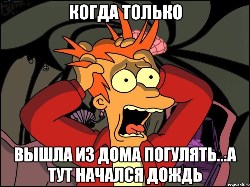 Когда только Вышла из дома погулять...а тут начался дождь, Мем Фрай в панике