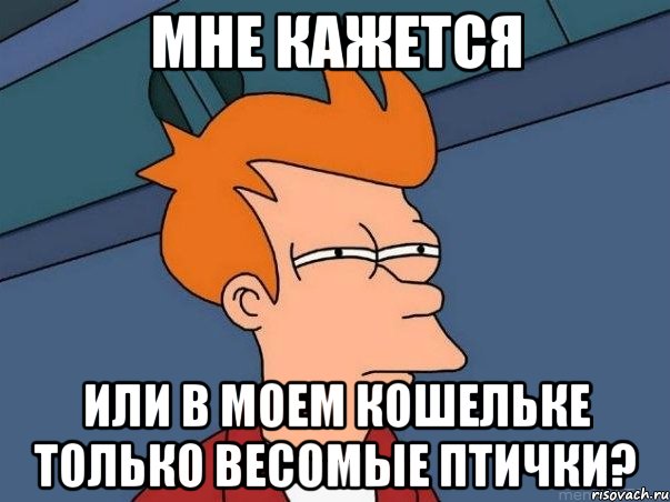 Мне кажется или в моем кошельке только весомые птички?, Мем  Фрай (мне кажется или)