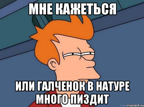 МНЕ КАЖЕТЬСЯ ИЛИ ГАЛЧЕНОК В НАТУРЕ МНОГО ПИЗДИТ, Мем  Фрай (мне кажется или)