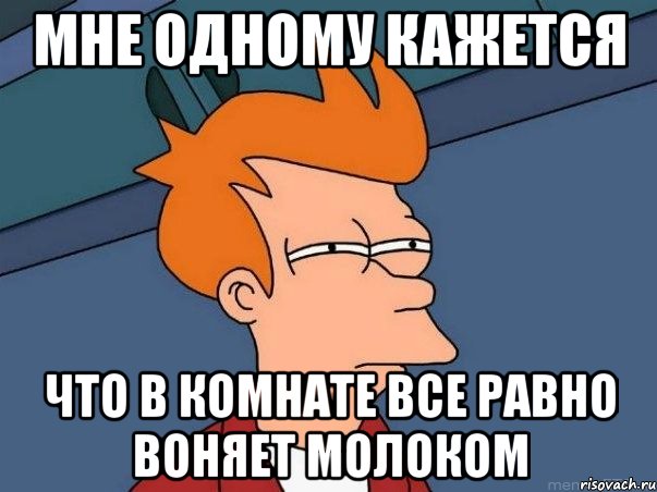 МНЕ ОДНОМУ КАЖЕТСЯ ЧТО В КОМНАТЕ ВСЕ РАВНО ВОНЯЕТ МОЛОКОМ, Мем  Фрай (мне кажется или)