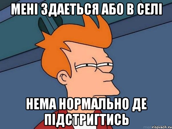 МЕНІ ЗДАЕТЬСЯ АБО В СЕЛІ НЕМА НОРМАЛЬНО ДЕ ПІДСТРИГТИСЬ, Мем  Фрай (мне кажется или)