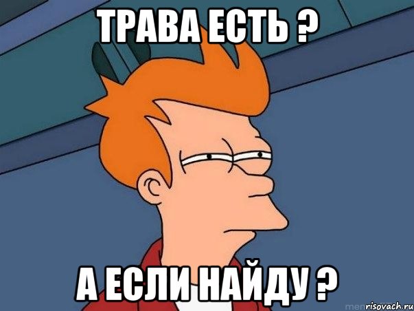 трава есть ? а если найду ?, Мем  Фрай (мне кажется или)