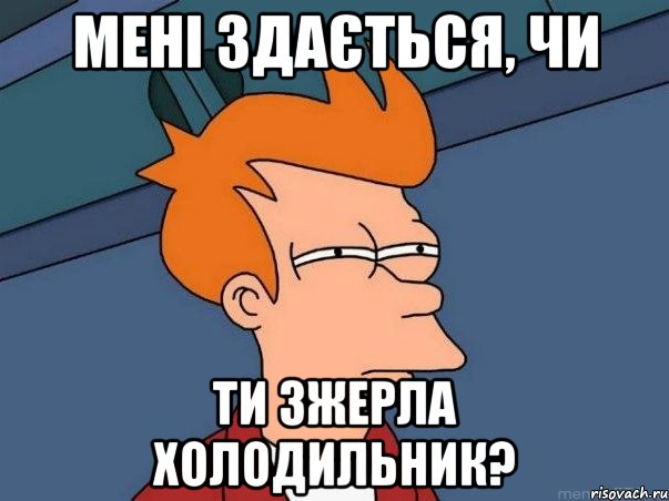 Мені здається, чи ти зжерла холодильник?, Мем  Фрай (мне кажется или)