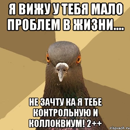 Я вижу у тебя мало проблем в жизни.... Не зачту ка я тебе контрольную и коллоквиум! 2++, Мем голубь