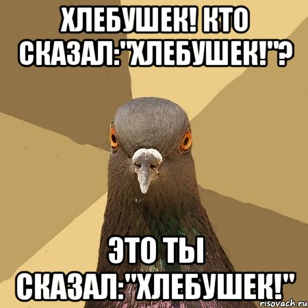 ХЛЕБУШЕК! КТО СКАЗАЛ:"ХЛЕБУШЕК!"? ЭТО ТЫ СКАЗАЛ:"ХЛЕБУШЕК!", Мем голубь