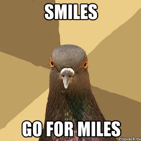 SMILES GO FOR MILES, Мем голубь