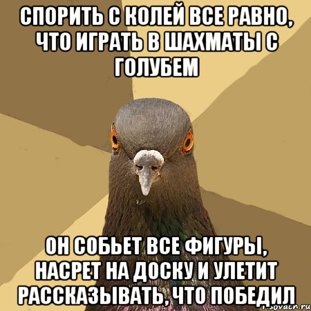 спорить с Колей все равно, что играть в шахматы с голубем он собьет все фигуры, насрет на доску и улетит рассказывать, что победил, Мем голубь