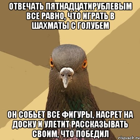 Отвечать пятнадцатирублевым все равно, что играть в шахматы с голубем он собьет все фигуры, насрет на доску и улетит рассказывать своим, что победил, Мем голубь