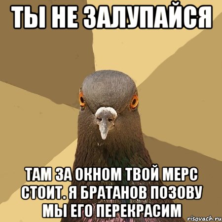 Ты не залупайся Там за окном твой мерс стоит. Я братанов позову мы его перекрасим, Мем голубь