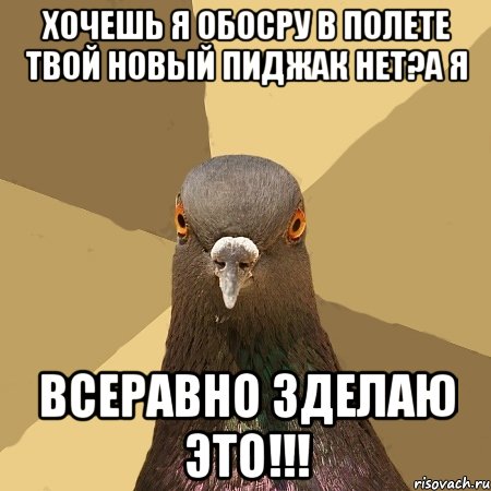 хочешь я обосру в полете твой новый пиджак нет?а я всеравно зделаю это!!!, Мем голубь