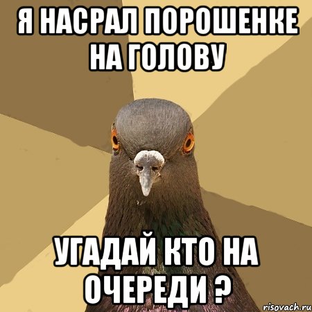 Я насрал Порошенке на голову Угадай кто на очереди ?, Мем голубь