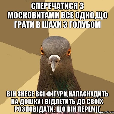 Сперечатися з московитами все одно,що грати в шахи з голубом Він знесе всі фігури,напаскудить на дошку і відлетить до своїх розповідати, що він переміг, Мем голубь