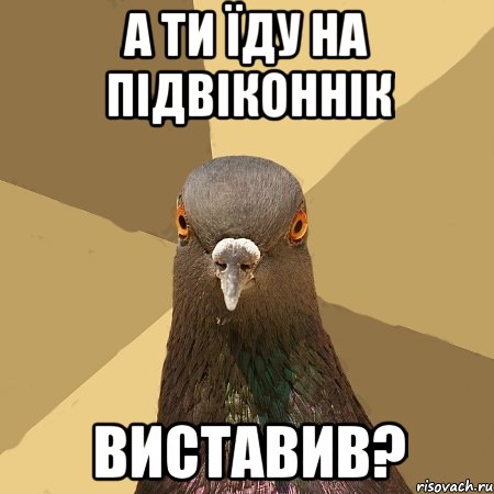 а ти їду на підвіконнік виставив?, Мем голубь