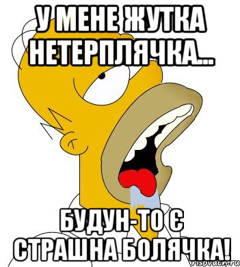 у мене жутка нетерплячка... будун-то є страшна болячка!, Мем  Гомер пускает слюни