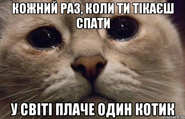 Кожний раз, коли ти тікаєш спати У світі плаче один котик, Мем   В мире грустит один котик