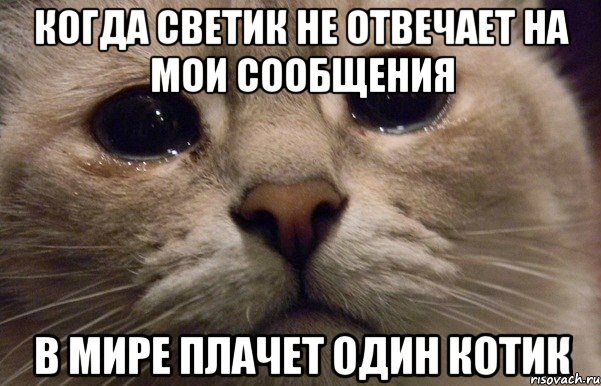 когда светик не отвечает на мои сообщения в мире плачет один котик, Мем   В мире грустит один котик