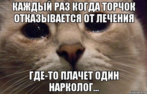 Каждый раз когда торчок отказывается от лечения где-то плачет один нарколог..., Мем   В мире грустит один котик