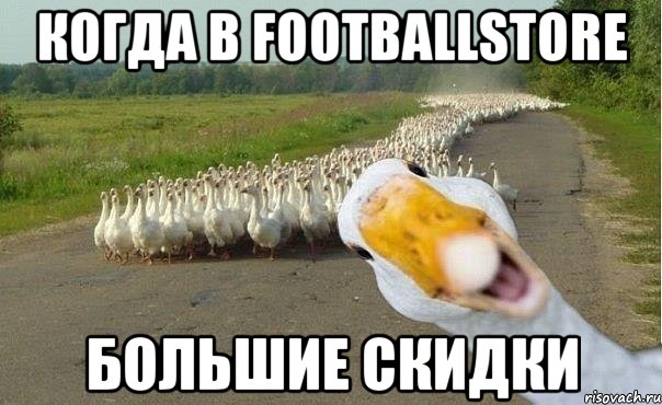 когда в Footballstore большие скидки, Мем гуси