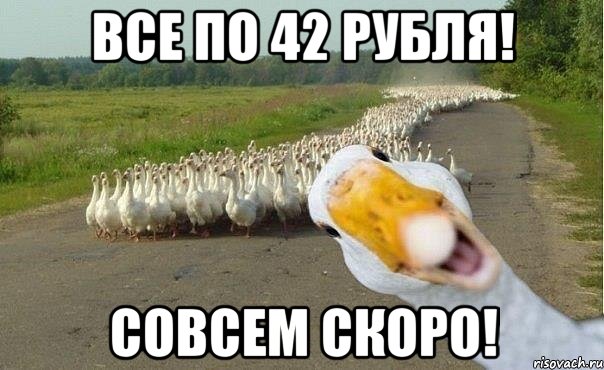 Все по 42 рубля! Совсем скоро!, Мем гуси