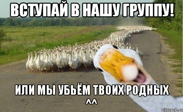 ВСТУПАЙ В НАШУ ГРУППУ! Или мы убьём твоих родных ^^, Мем гуси