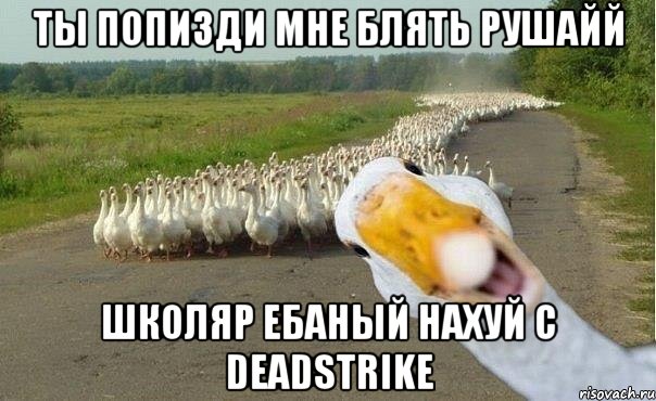 Ты попизди мне бЛять РУШАЙЙ Школяр ебаный нахуй с DEADSTRIKE, Мем гуси