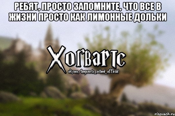 Ребят, просто запомните, что все в жизни просто как лимонные дольки , Мем Хогвартс