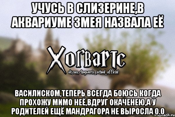 Учусь в СЛИЗЕРИНЕ,в аквариуме змея назвала её ВАСИЛИСКОМ,теперь всегда боюсь когда прохожу мимо неё,вдруг окаченею,а у родителей ещё мандрагора не выросла 0.0, Мем Хогвартс