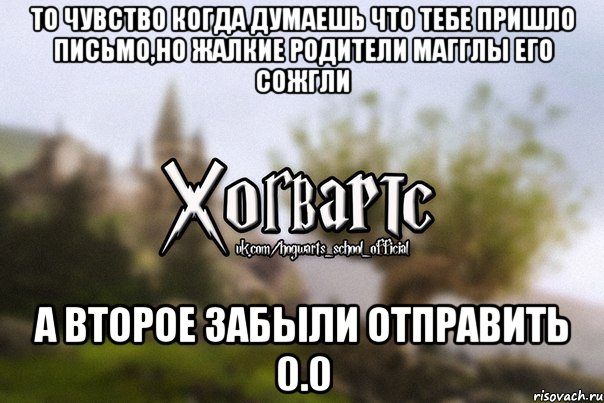 То чувство когда думаешь что тебе пришло письмо,но жалкие родители магглы его сожгли а второе забыли отправить 0.0