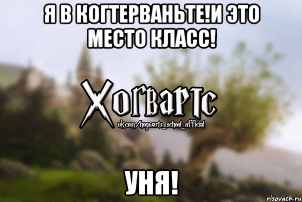 Я В Когтерваньте!И это место Класс! Уня!, Мем Хогвартс