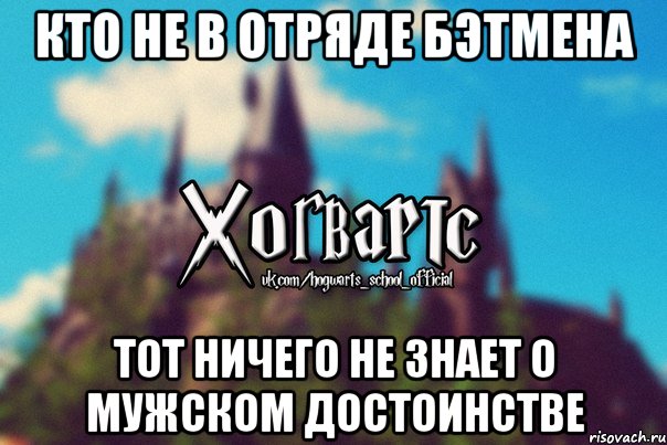 Кто не в отряде Бэтмена Тот ничего не знает о мужском достоинстве, Мем Хогвартс