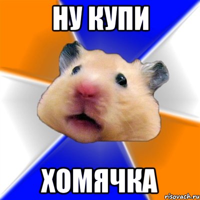 Ну купи Хомячка, Мем Хомяк