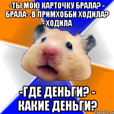 -Ты мою карточку брала? - Брала - в Примхобби ходила? - Ходила -Где деньги? - Какие деньги?, Мем Хомяк