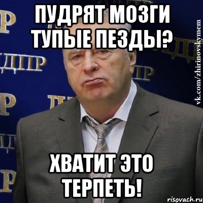 пудрят мозги тупые пезды? хватит это терпеть!, Мем Хватит это терпеть (Жириновский)