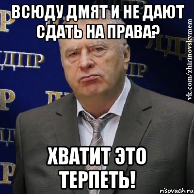 Всюду ДМят и не дают сдать на права? Хватит это терпеть!, Мем Хватит это терпеть (Жириновский)