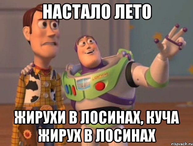 НАСТАЛО ЛЕТО ЖИРУХИ В ЛОСИНАХ, КУЧА ЖИРУХ В ЛОСИНАХ, Мем Они повсюду (История игрушек)