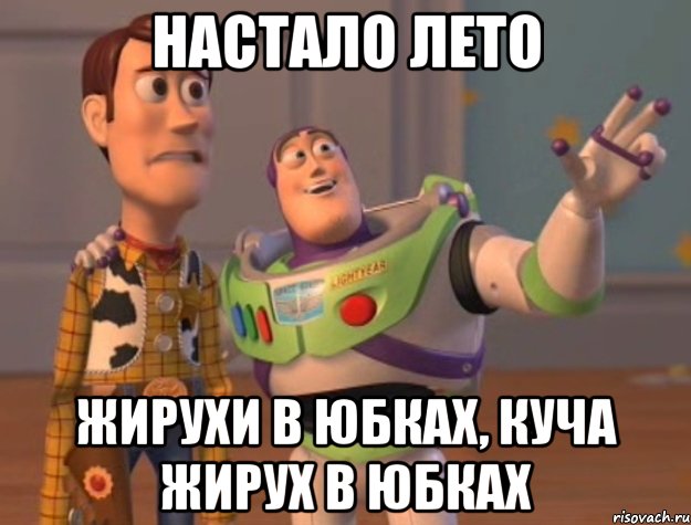 НАСТАЛО ЛЕТО ЖИРУХИ В ЮБКАХ, КУЧА ЖИРУХ В ЮБКАХ, Мем Они повсюду (История игрушек)